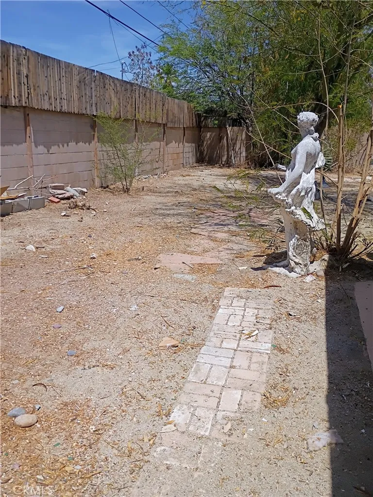 Back Yard