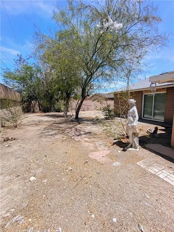 Back yard