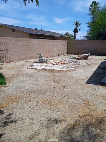 Back yard