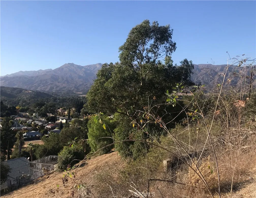 North towards mountains