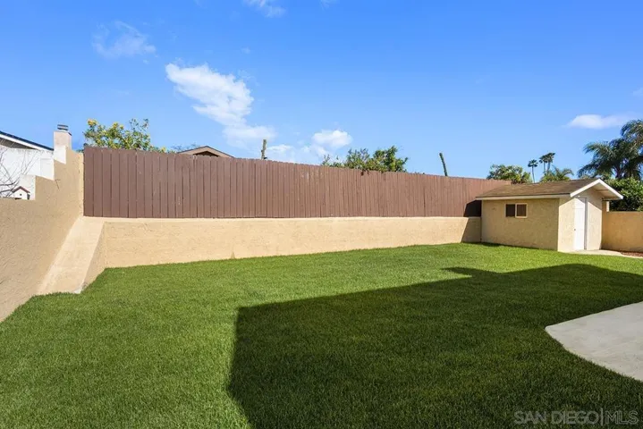 Back Yard