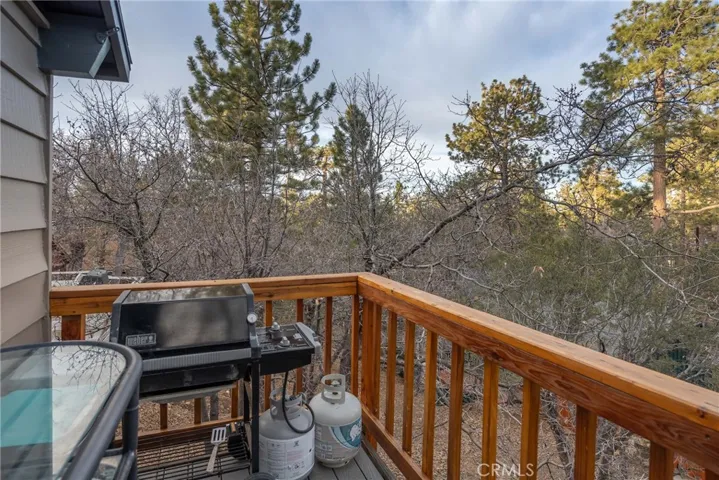 875 Santa Barbara, Sugarloaf, California 92386