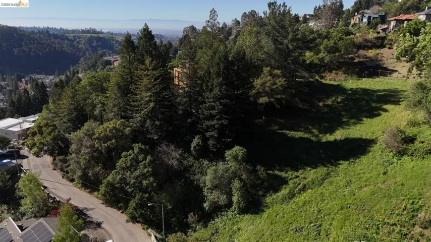 Drone / aerial view of a forest