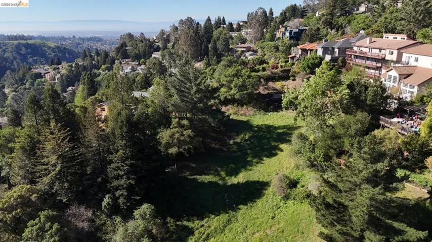 Drone / aerial view of a tree filled landscape