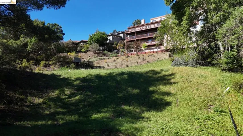 View of grassy yard