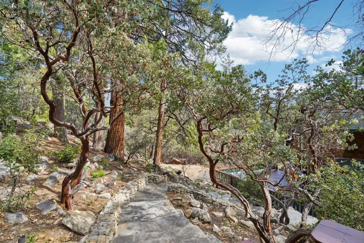 40-web-or-mls-Skyline Way-S1703-003