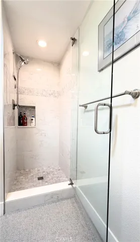 Guest Walk-in Shower
