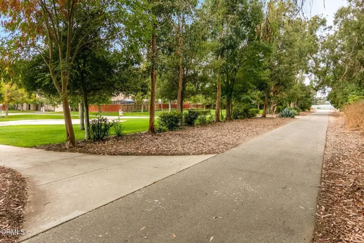 sidewalk