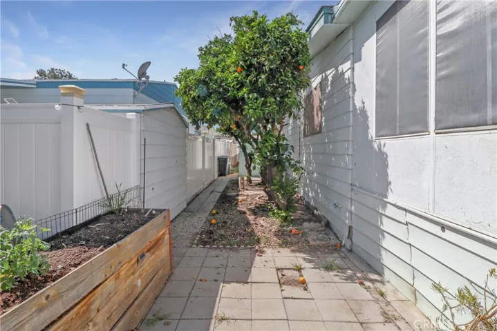 Fruit Trees and Planter