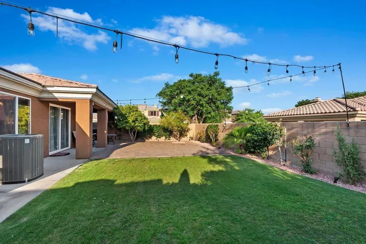 Back yard