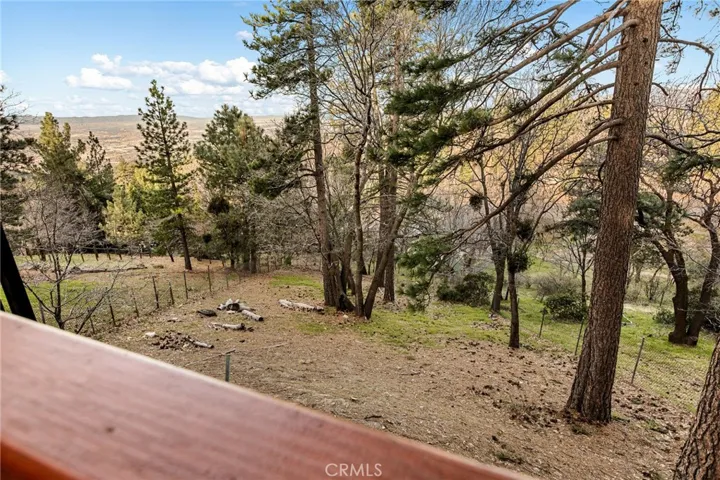 Large fenced yard.