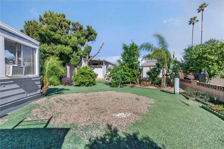 Back yard
