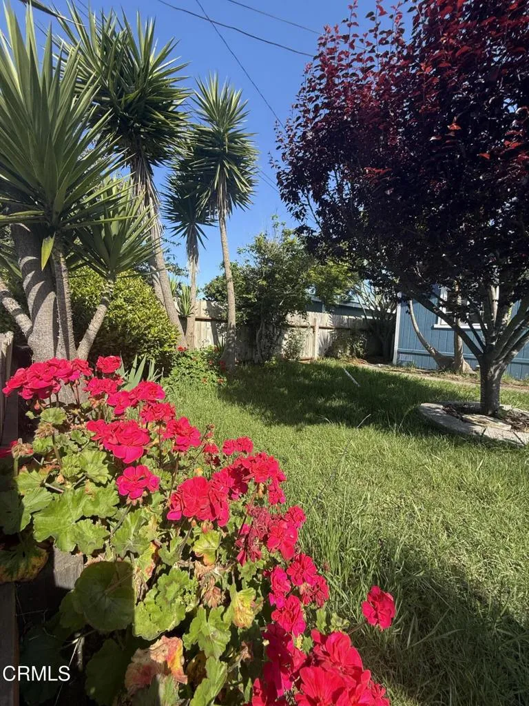 IMG_4801