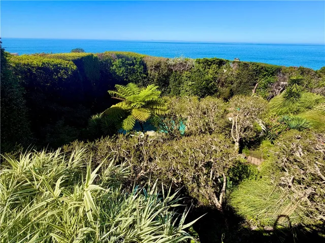 31571 Bluff Drive, Laguna Beach, California 92651