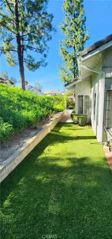 Grassy side yard