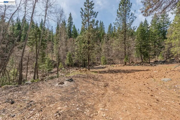 121 Mountain Aire Ln, Trinity Center, California 96091