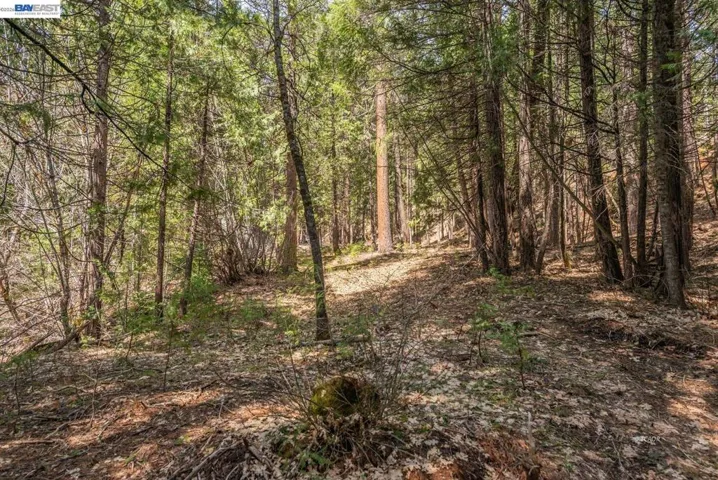 121 Mountain Aire Ln, Trinity Center, California 96091