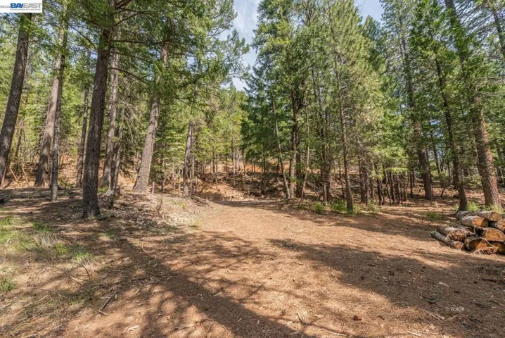121 Mountain Aire Ln, Trinity Center, California 96091