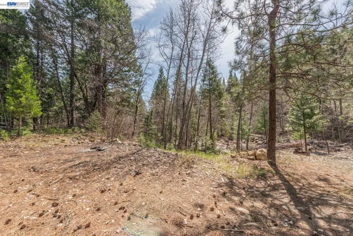 121 Mountain Aire Ln, Trinity Center, California 96091
