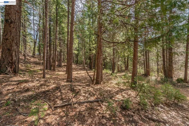 121 Mountain Aire Ln, Trinity Center, California 96091