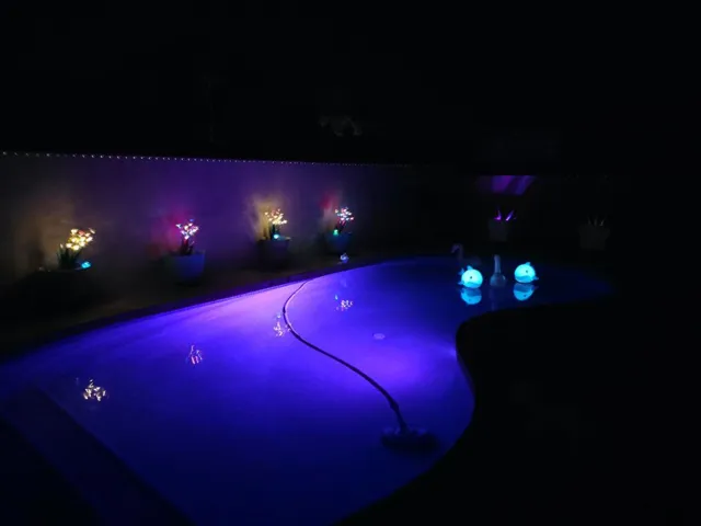 Night Shot