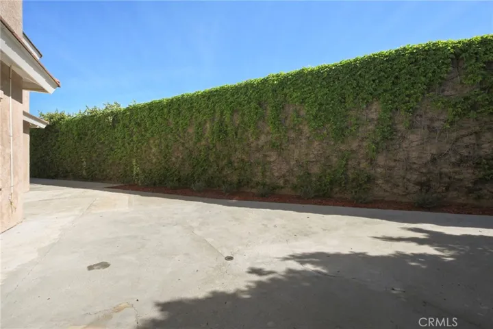 Tall privacy wall covered in vines.
