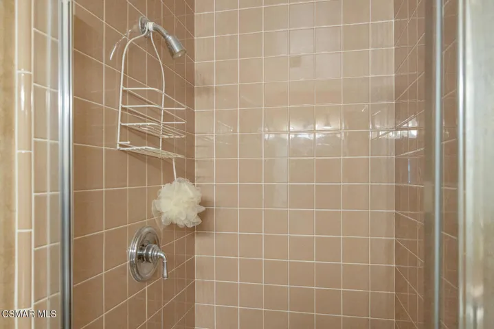 2924 Blazing Star Dr Thousand-large-024-