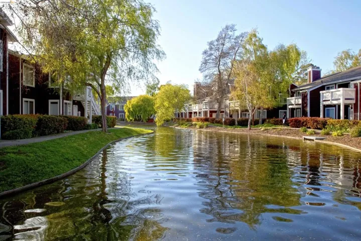 Water view
