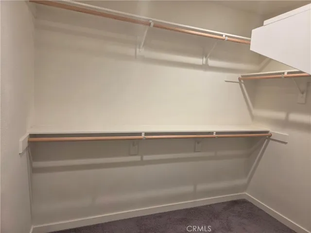 HUGE primary closet