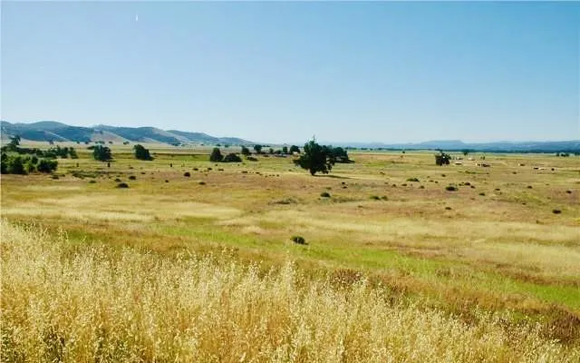 50850 Martinez Road, Lockwood, California 93932 — photo 4