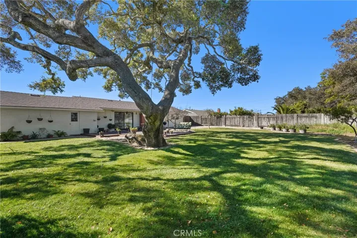 Wonderful Back Yard With Majestic Oak Tree