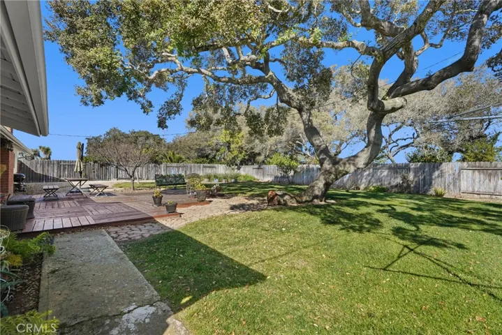 Wonderful Back Yard With Majestic Oak Tree