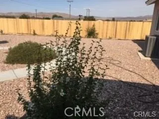 blooming plants all over yard