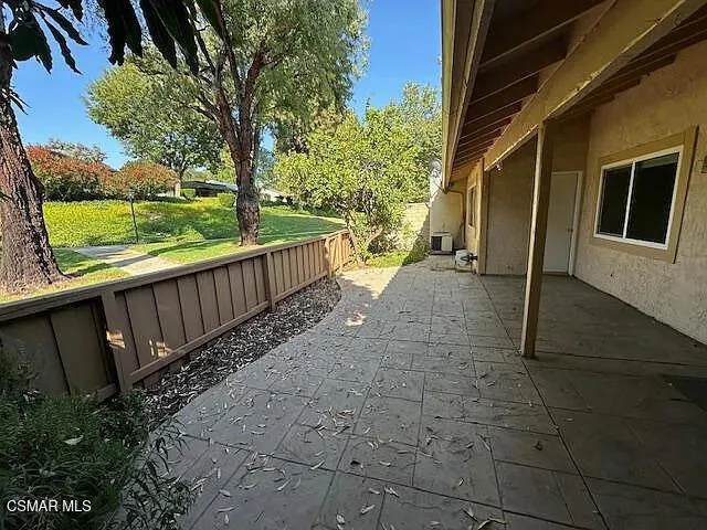 Backyard 1