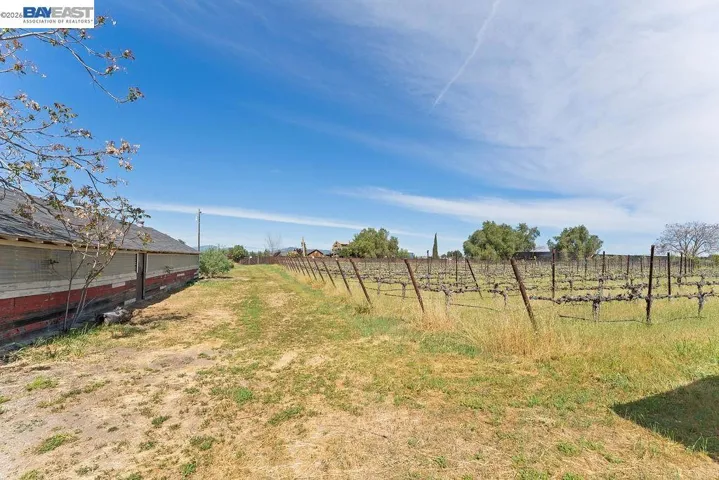 Long Coop and Vineyard