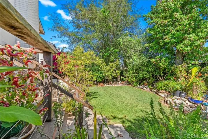 Backyard with Mature Fruit Trees