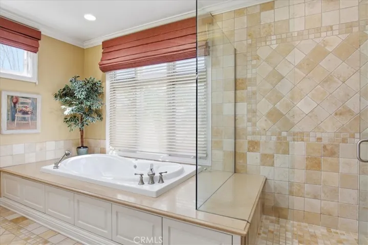 Primary Bathroom Spa Tub and Shower