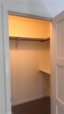 Primary bedroom closet