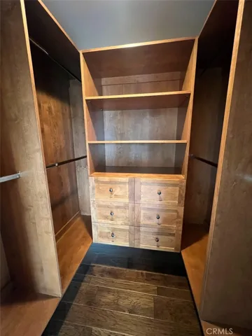 Primary bedroom closet