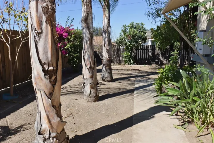 South side of Yard from Gate Entrance