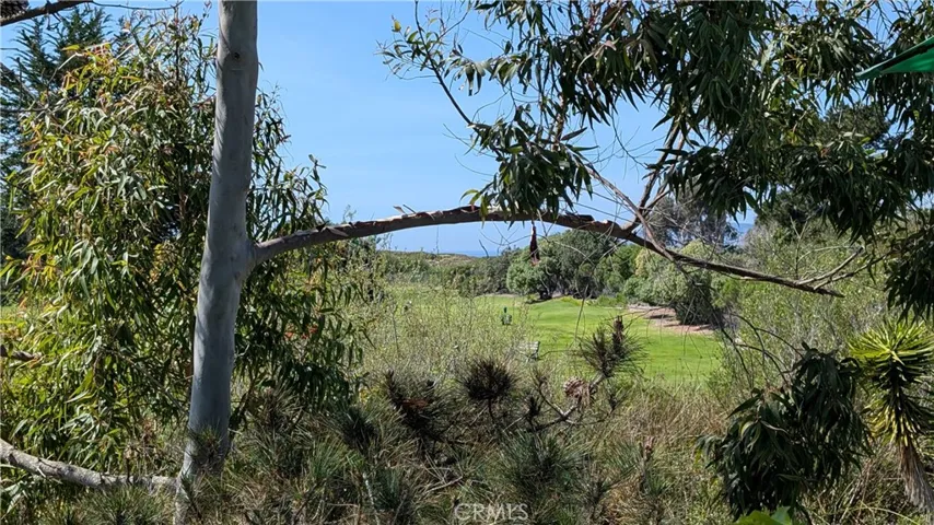 Ocean peak-a-boo view.