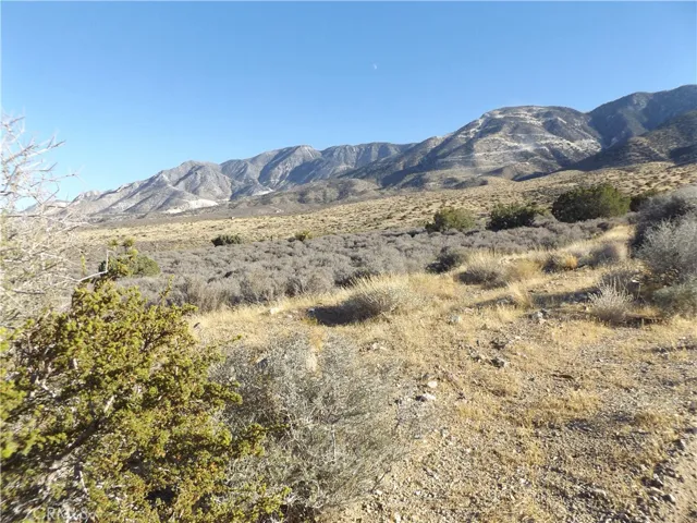 Photo is of property, taken from Mesa Road, looking Southeast