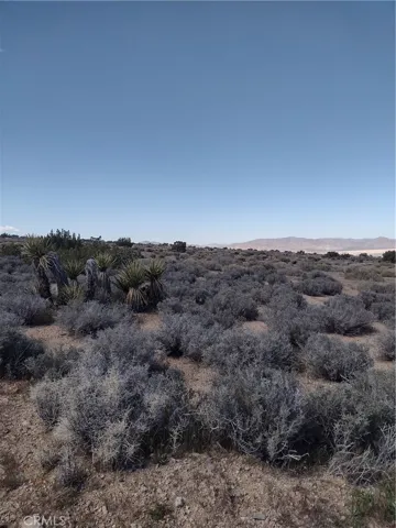 Photo is of property, looking North