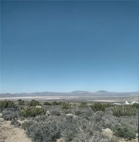 Photo taken from Northwest corner of property, from Mesa Road, looking North