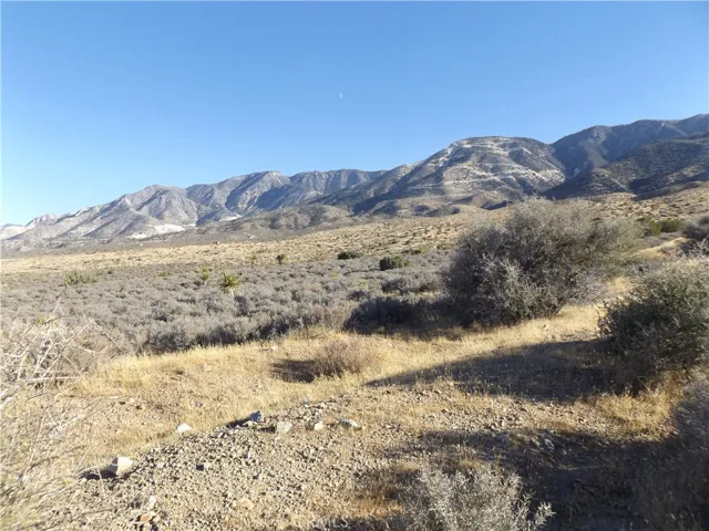 Photo is of property, looking Southeast, taken from Mesa Road
