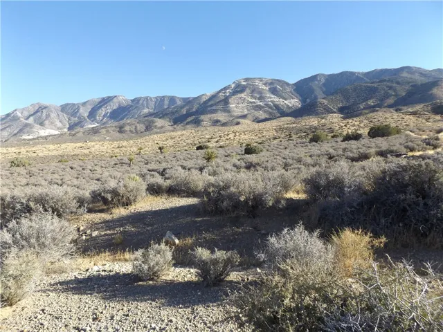 Photo is of property, taken from Mesa Road, looking Southeast