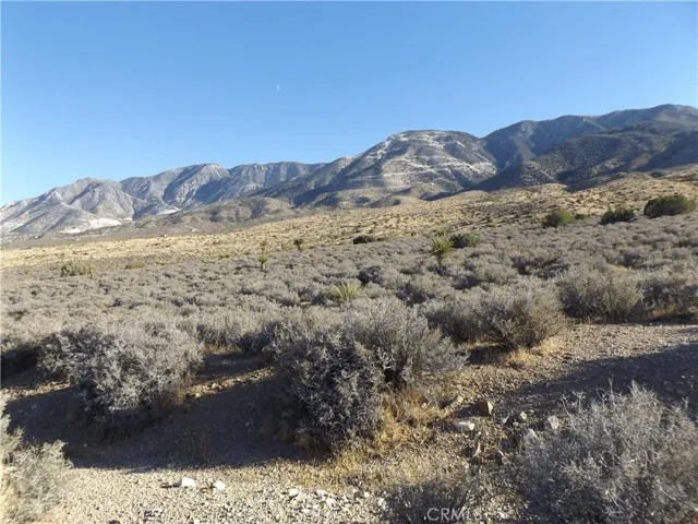 Photo is of property, looking Southeast, taken from Mesa Road