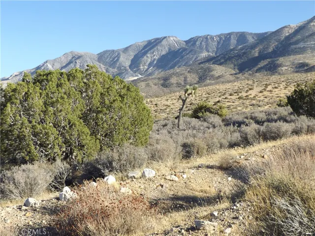 Photo is of property, looking Southeast, taken from Mesa Road