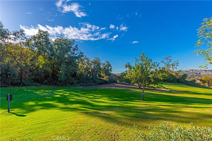 27196 Paseo Lomita, San Juan Capistrano, California 92675