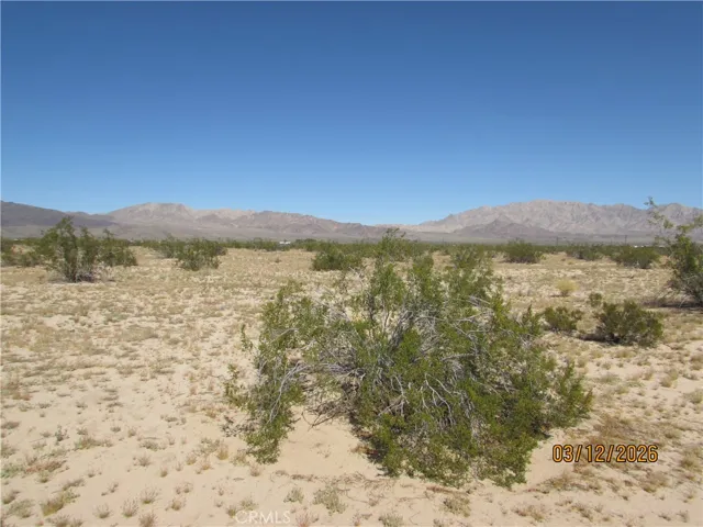 Looking Northeast on PIQ